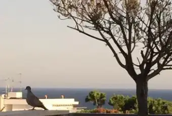 Rexer-Santa-Marinella-Panoramico-attico-vista-mare-TERRAZZO