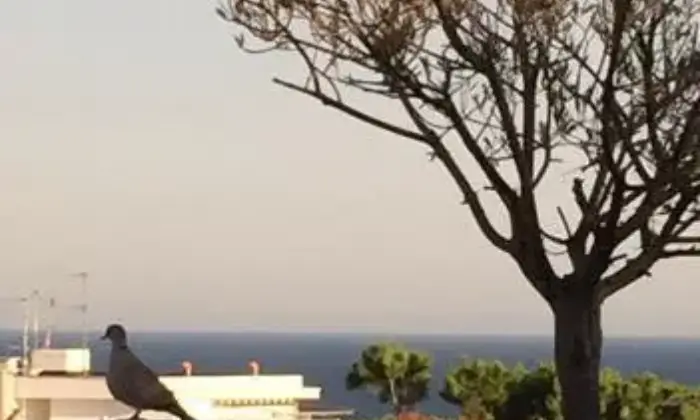 Rexer-Santa-Marinella-Panoramico-attico-vista-mare-TERRAZZO