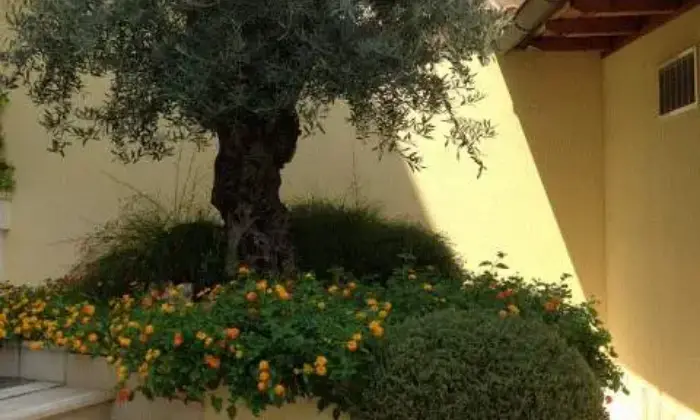 Rexer-Roma-Mini-appartamenti-in-residence-ALTRO