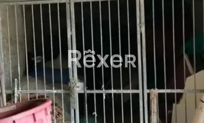 Rexer-Ponza-Terreno-con-cava-a-Ponza-Investimento-ideale-Altro