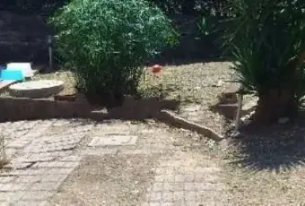 Rexer-Formia-Ampio-trilocale-GIARDINO