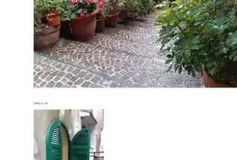 Rexer-Ripi-Centralissimo-trilocale-GIARDINO