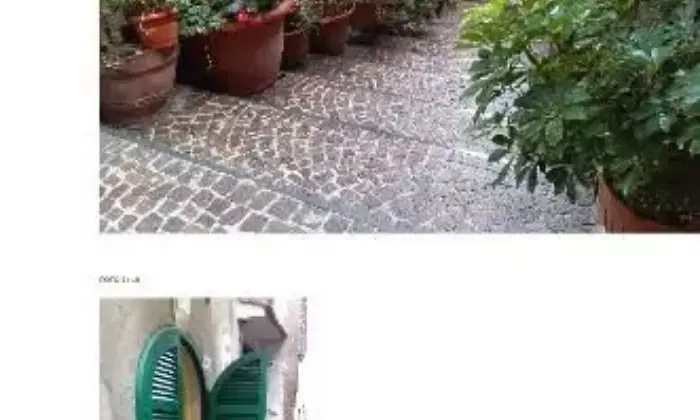 Rexer-Ripi-Centralissimo-trilocale-GIARDINO