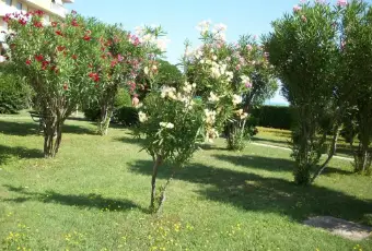 Rexer-Fano-Appartamento-per-vacanze-ALTRO