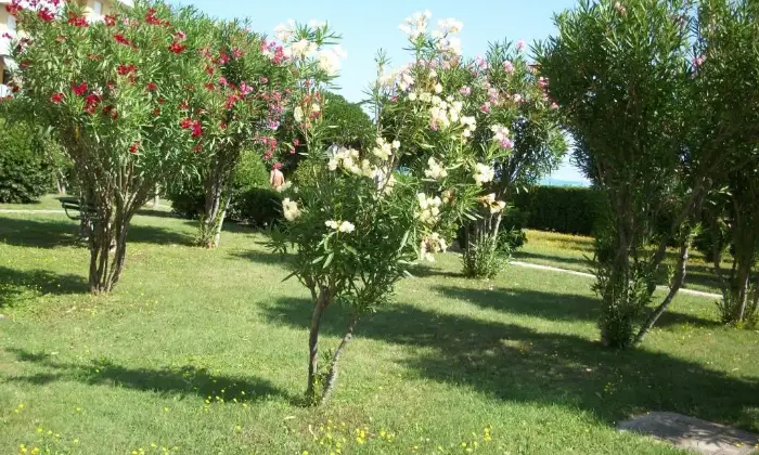 Rexer-Fano-Appartamento-per-vacanze-ALTRO