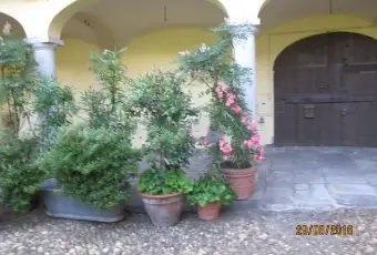 Rexer-Oleggio-Particolare-casa-indipendente-ALTRO