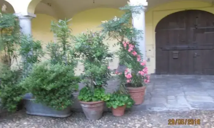 Rexer-Oleggio-Particolare-casa-indipendente-ALTRO