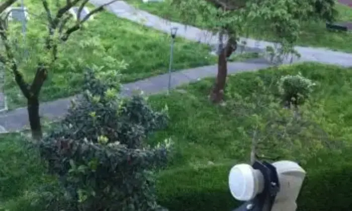 Rexer-Milano-Camera-singola-arredata-GIARDINO