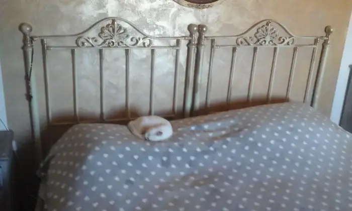 Rexer-Montevarchi-Terratetto-indipendente-CAMERA-DA-LETTO