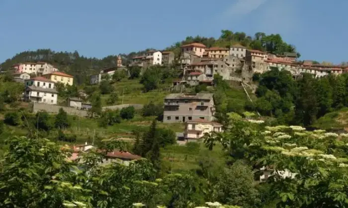 Rexer-Borghetto-di-Vara-ATTIVIT-DI-RICOVERO-ANZIANI-O-AFFITTACAMERE-PlanimetriaD