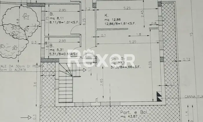 Rexer-Roccamontepiano-Vendesi-tranquillit-tradizione-e-sicurezza-PlanimetriaD
